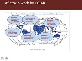 Combating aflatoxins: Can we win the war?