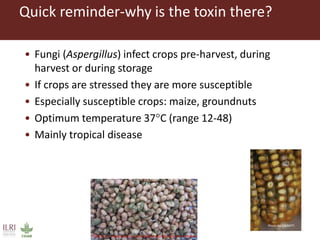 Combating aflatoxins: Can we win the war?