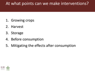 Combating aflatoxins: Can we win the war?
