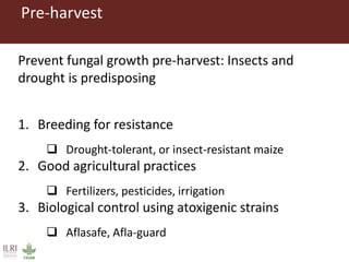 Combating aflatoxins: Can we win the war?