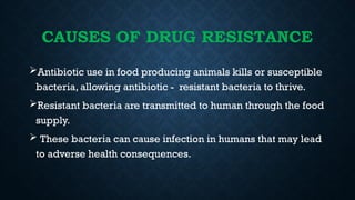 CAUSES OF DRUG RESISTANCE
Antibiotic use in food producing animals kills or susceptible
bacteria, allowing antibiotic - resistant bacteria to thrive.
Resistant bacteria are transmitted to human through the food
supply.
 These bacteria can cause infection in humans that may lead
to adverse health consequences.
 
