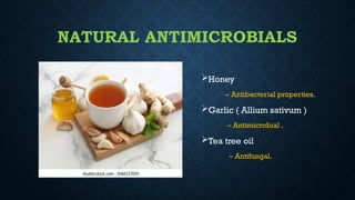 NATURAL ANTIMICROBIALS
Honey
– Antibacterial properties.
Garlic ( Allium sativum )
– Antimicrobial .
Tea tree oil
– Antifungal.
 
