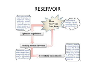 RESERVOIR
 
