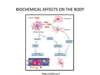 BIOCHEMICAL AFFECTS ON THE BODY
https:/reddit.com
 