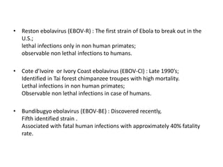 • Reston ebolavirus (EBOV-R) : The first strain of Ebola to break out in the
U.S.;
lethal infections only in non human primates;
observable non lethal infections to humans.
• Cote d’Ivoire or Ivory Coast ebolavirus (EBOV-CI) : Late 1990’s;
Identified in Tai forest chimpanzee troupes with high mortality.
Lethal infections in non human primates;
Observable non lethal infections in case of humans.
• Bundibugyo ebolavirus (EBOV-BE) : Discovered recently,
Fifth identified strain .
Associated with fatal human infections with approximately 40% fatality
rate.
 