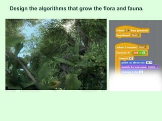<ul><ul><li>Design the algorithms that grow the flora and fauna. </li></ul></ul>