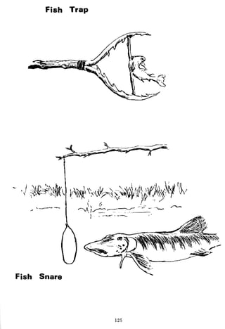 Combat Survival And Evasion
