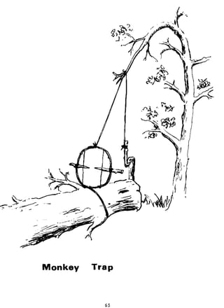 Combat Survival And Evasion