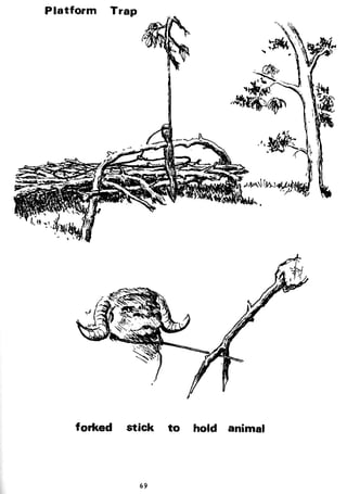 Combat Survival And Evasion