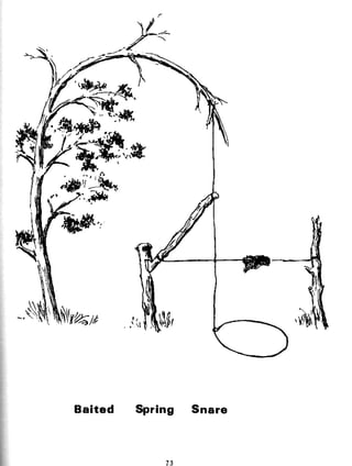 Combat Survival And Evasion