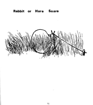 Combat Survival And Evasion