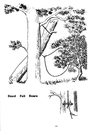 Combat Survival And Evasion