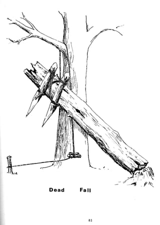 Combat Survival And Evasion