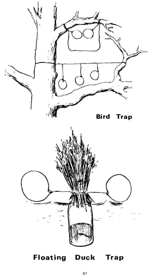 Combat Survival And Evasion