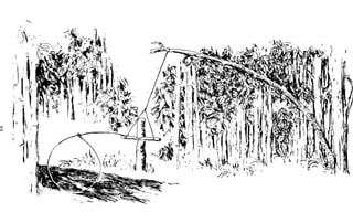 Combat Survival And Evasion