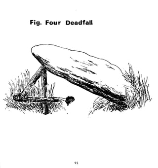 Combat Survival And Evasion