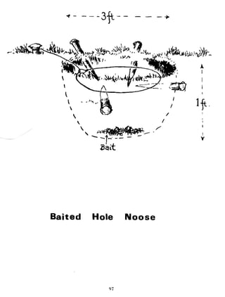 Combat Survival And Evasion