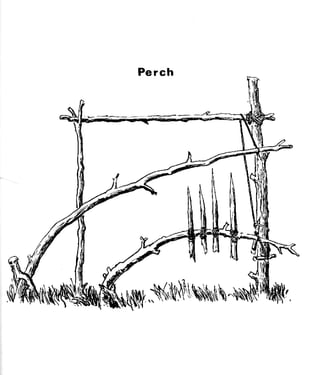 Combat Survival And Evasion