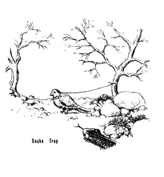 Combat Survival And Evasion