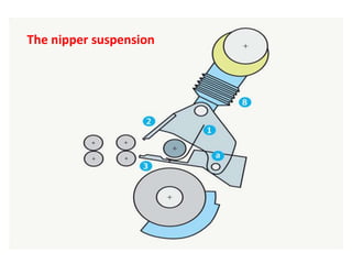 The nipper suspension
 