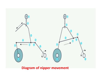 Diagram of nipper movement
 