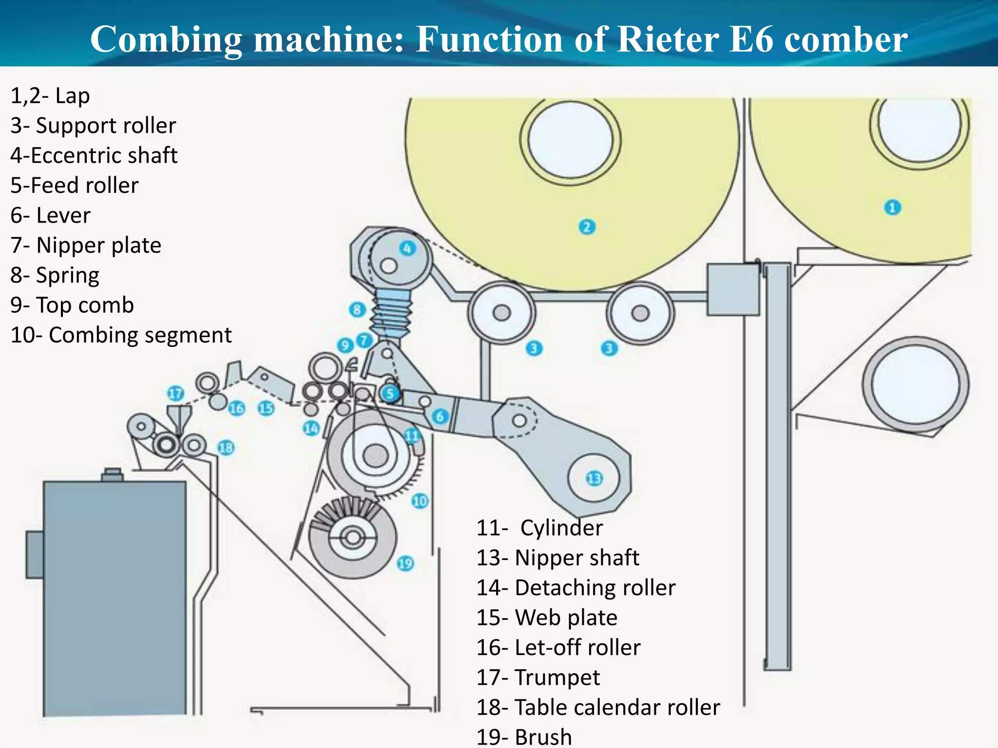 Combing machine: Function of Rieter E6 comber
1,2- Lap
3- Support roller
4-Eccentric shaft
5-Feed roller
6- Lever
7- Nipper plate
8- Spring
9- Top comb
10- Combing segment
11- Cylinder
13- Nipper shaft
14- Detaching roller
15- Web plate
16- Let-off roller
17- Trumpet
18- Table calendar roller
19- Brush
 