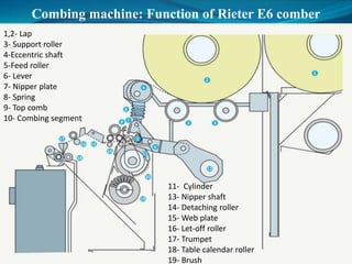 Combing machine: Function of Rieter E6 comber
1,2- Lap
3- Support roller
4-Eccentric shaft
5-Feed roller
6- Lever
7- Nipper plate
8- Spring
9- Top comb
10- Combing segment
11- Cylinder
13- Nipper shaft
14- Detaching roller
15- Web plate
16- Let-off roller
17- Trumpet
18- Table calendar roller
19- Brush
 