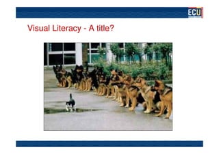 Visual Literacy - A title?
 