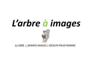 L’arbre à images (c) 2009  J_MINATO IMAGES / JOCELYN PRUD’HOMME 