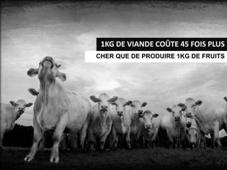 1KG DE VIANDE COÛTE 45 FOIS PLUS
CHER QUE DE PRODUIRE 1KG DE FRUITS
 