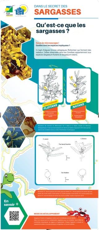 C
M
J
CM
MJ
CJ
CMJ
N
panneau-3-HD.pdf 1 11/10/2019 10:27:20
 