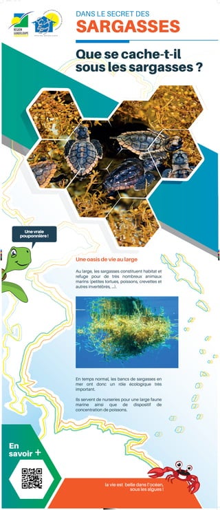 C
M
J
CM
MJ
CJ
CMJ
N
panneau-4-HD.pdf 1 11/10/2019 11:08:44
 