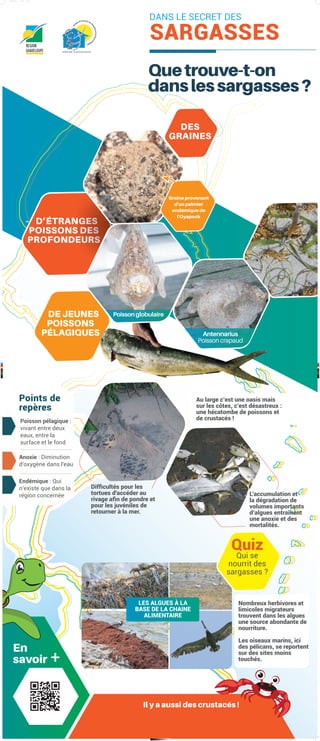 C
M
J
CM
MJ
CJ
CMJ
N
panneau-7-HD.pdf 1 11/10/2019 11:48:23
 