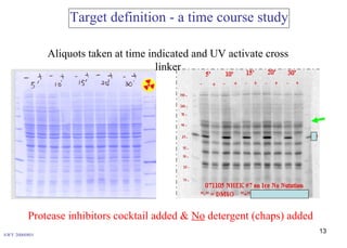 Combinational Use Of Photoaffinity Label (Iii) & Affinity Column For ...