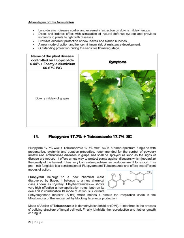 Combination fungicides in india and their uses