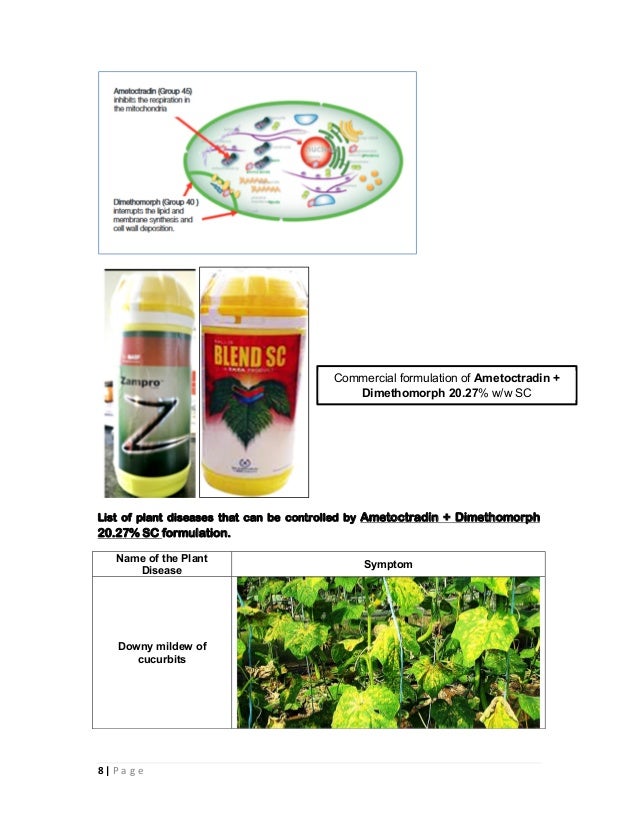 Combination fungicides in india and their uses