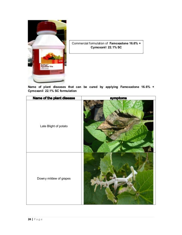 Combination fungicides in india and their uses