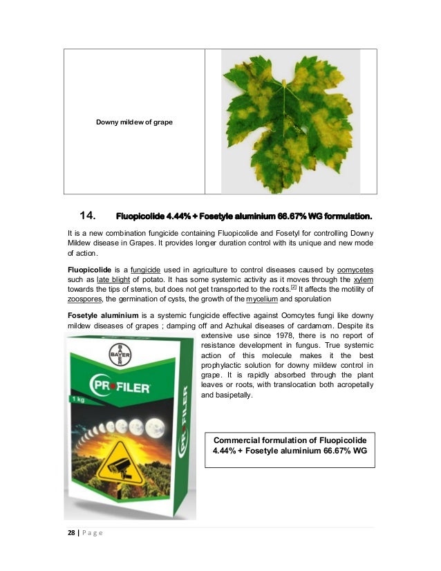 Combination fungicides in india and their uses