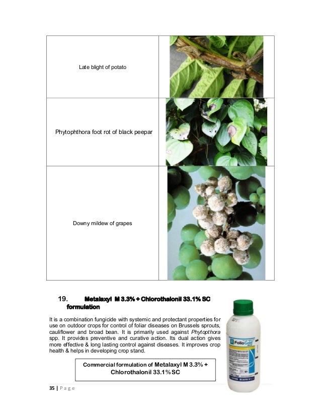 Combination fungicides in india and their uses