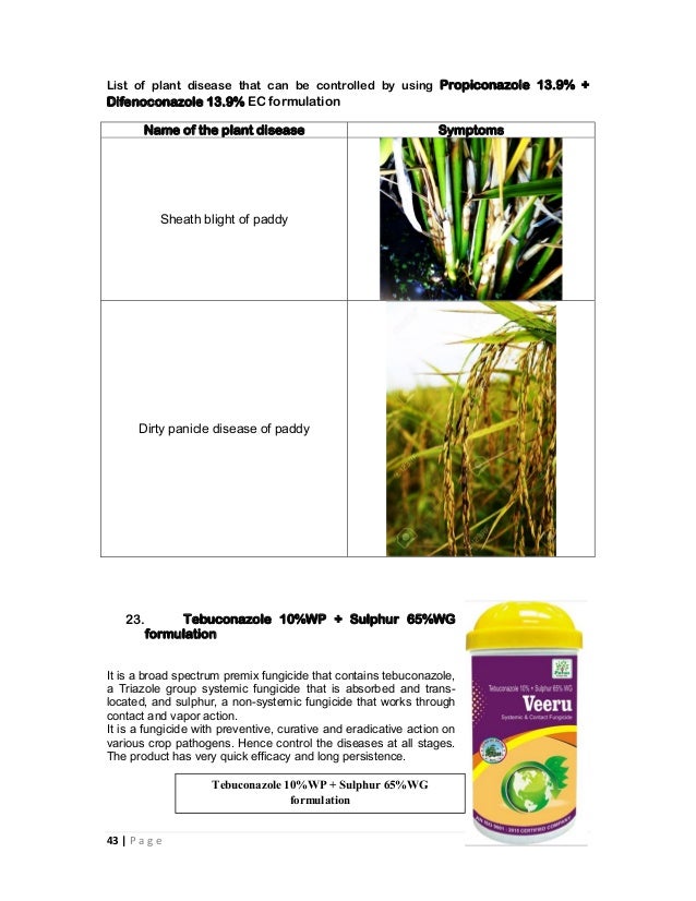 Combination fungicides in india and their uses