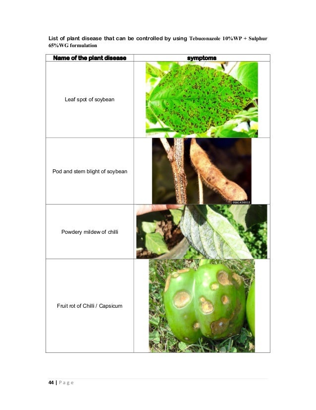 Combination fungicides in india and their uses