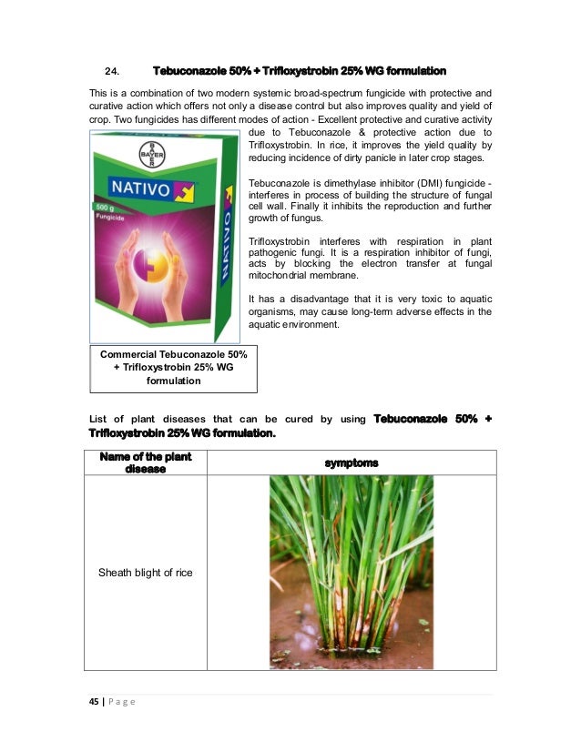 Combination fungicides in india and their uses
