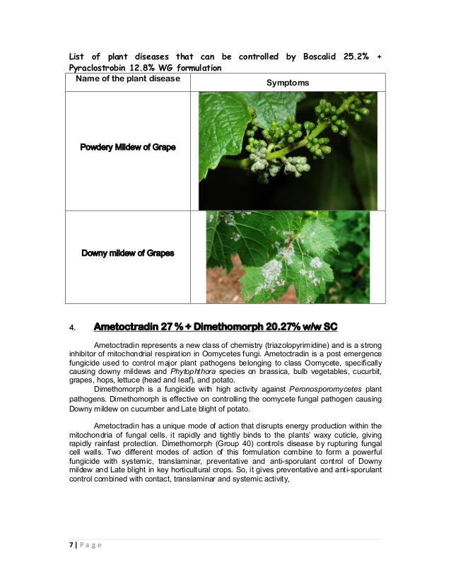 Combination fungicides in india and their uses