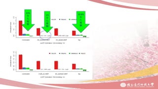 23%
年
化
報
酬
1%
年
化
報
酬
10.6%
年
化
報
酬
 