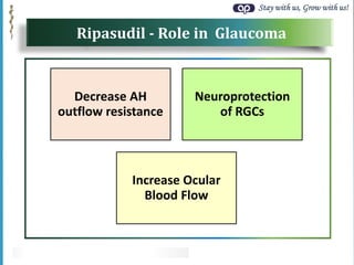 Stay with us, Grow with us!
Ripasudil - Role in Glaucoma
Decrease AH
outflow resistance
Neuroprotection
of RGCs
Increase Ocular
Blood Flow
 