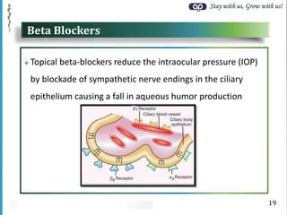 Stay with us, Grow with us!
Beta Blockers
 Topical beta-blockers reduce the intraocular pressure (IOP)
by blockade of sympathetic nerve endings in the ciliary
epithelium causing a fall in aqueous humor production
19
 