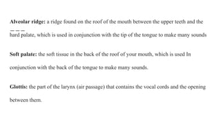 Alveolar ridge: a ridge found on the roof of the mouth between the upper teeth and the
hard palate, which is used in conjunction with the tip of the tongue to make many sounds
Soft palate: the soft tissue in the back of the roof of your mouth, which is used In
conjunction with the back of the tongue to make many sounds.
Glottis: the part of the larynx (air passage) that contains the vocal cords and the opening
between them.
 