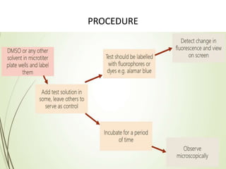 PROCEDURE
 
