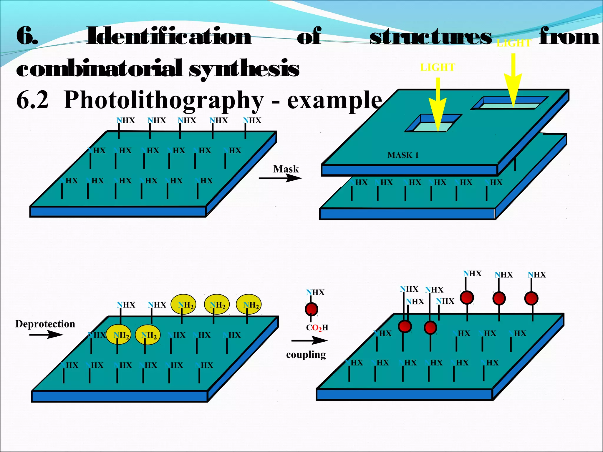 NHX NHX NHX NHX NHX
NHXNHXNHXNHXNHXNHX
NHXNHXNHXNHXNHXNHX
6. Identification of structures from
combinatorial synthesis
6.2 Photolithography - example
NHXNHXNHXNHXNHXNHX
MASK 1
Mask
LIGHT
LIGHT
NHXNHXNHXNHX
NHXNHXNHXNHXNHXNHX
NHX
CO2H
coupling
NHX NHX
NHX NHX NHX
NHX NHXNHX NHX NH2 NH2 NH2
NHXNHXNHXNH2NH2NHX
NHXNHXNHXNHXNHXNHX
Deprotection
 