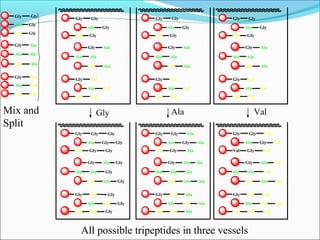 Gly
Ala
Val
Gly
Gly
Gly
Gly
Ala
Val
Ala
Ala
Ala
Gly
Ala
Val
Val
Val
Val
Gly
Ala
Val
Gly
Gly
Gly
Gly
Ala
Val
Ala
Ala
Ala
Gly
Ala
Val
Val
Val
Val
Gly
Ala
Val
Gly
Gly
Gly
Gly
Ala
Val
Ala
Ala
Ala
Gly
Ala
Val
Val
Val
Val
Gly
Ala
Val
Gly
Gly
Gly
Gly
Ala
Val
Ala
Ala
Ala
Gly
Ala
Val
Val
Val
Val
Gly Ala Val
Gly
Ala
Val
Gly
Gly
Gly
Gly
Ala
Val
Ala
Ala
Ala
Gly
Ala
Val
Val
Val
Val
Gly
Ala
Val
Gly
Gly
Gly
Gly
Ala
Val
Ala
Ala
Ala
Gly
Ala
Val
Val
Val
Val
Gly
Ala
Val
Gly
Gly
Gly
Gly
Ala
Val
Ala
Ala
Ala
Gly
Ala
Val
Val
Val
Val
Gly
Gly
Gly
Gly
Gly
Gly
Gly
Gly
Gly
Ala
Ala
Ala
Ala
Ala
Ala
Ala
Ala
Ala
Val
Val
Val
Val
Val
Val
Val
Val
Val
Mix and
Split
All possible tripeptides in three vessels
 